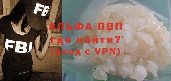 СК Бронницы