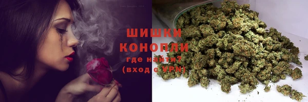 СК Бронницы