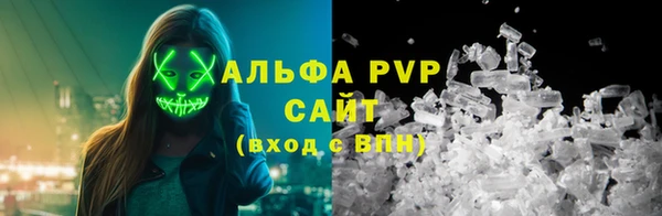 СК Бронницы