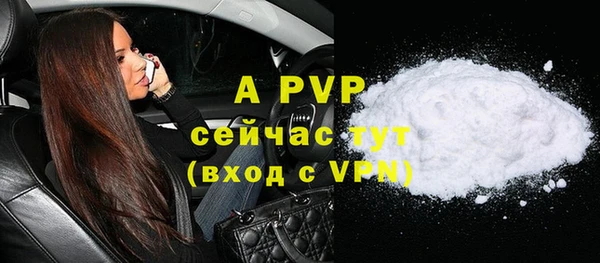 гидра Богданович
