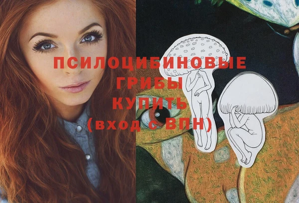 соль ск Верхнеуральск