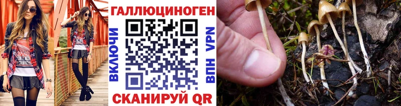 Галлюциногенные грибы GOLDEN TEACHER  как найти наркотики  Кизилюрт 